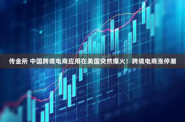 传金所 中国跨境电商应用在美国突然爆火！跨境电商涨停潮