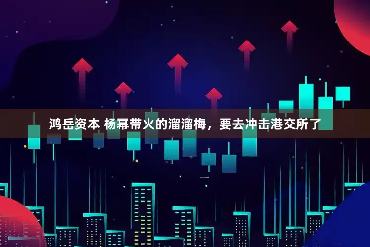 鸿岳资本 杨幂带火的溜溜梅，要去冲击港交所了