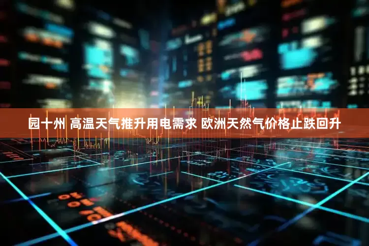 园十州 高温天气推升用电需求 欧洲天然气价格止跌回升