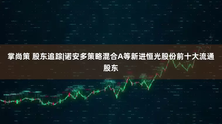 掌尚策 股东追踪|诺安多策略混合A等新进恒光股份前十大流通股东