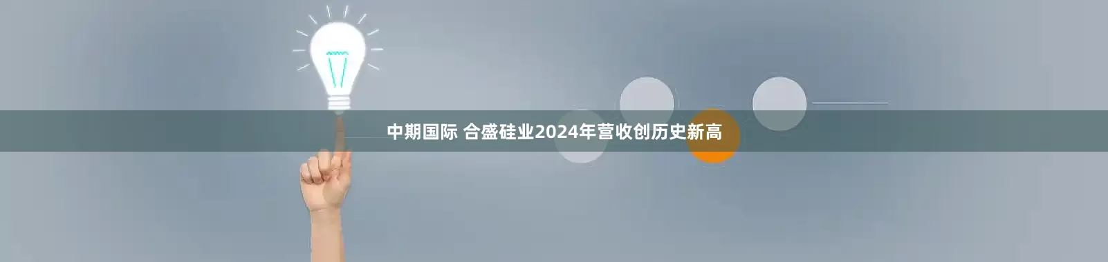 中期国际 合盛硅业2024年营收创历史新高
