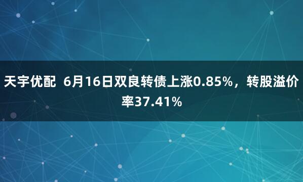 天宇优配  6月16日双良转债上涨0.85%，转股溢价率37.41%